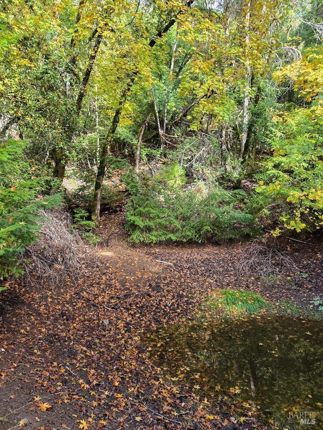 view of local wilderness with a forest view