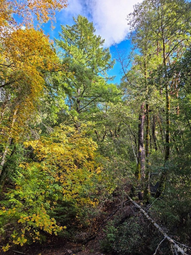 view of landscape featuring a forest view