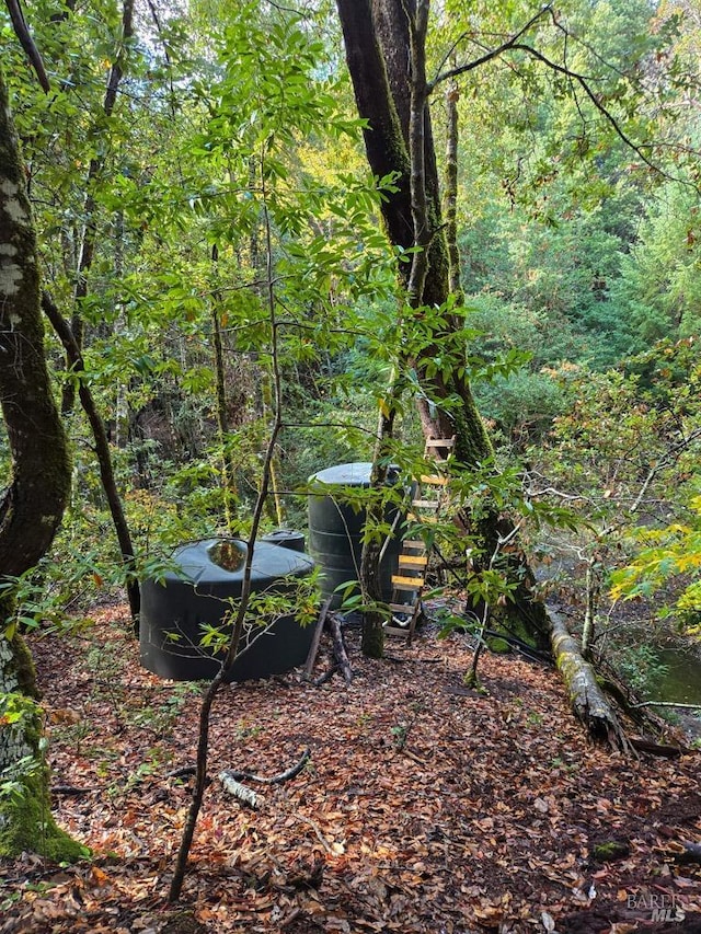 29500 Timberline Rd, Willits, CA 95490 - view of tree filled area