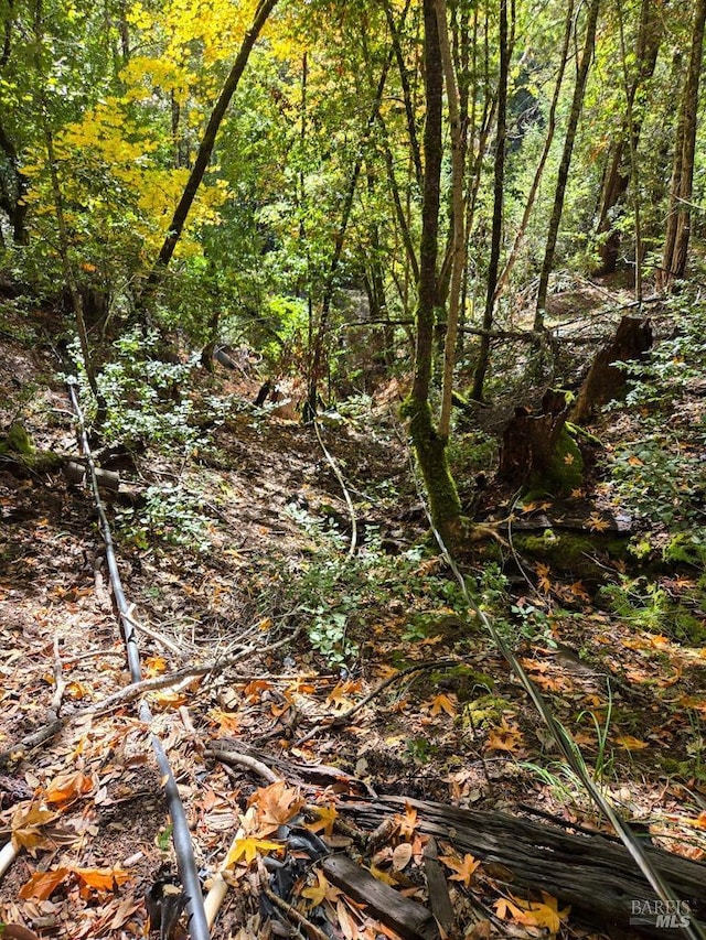 view of landscape featuring a view of trees