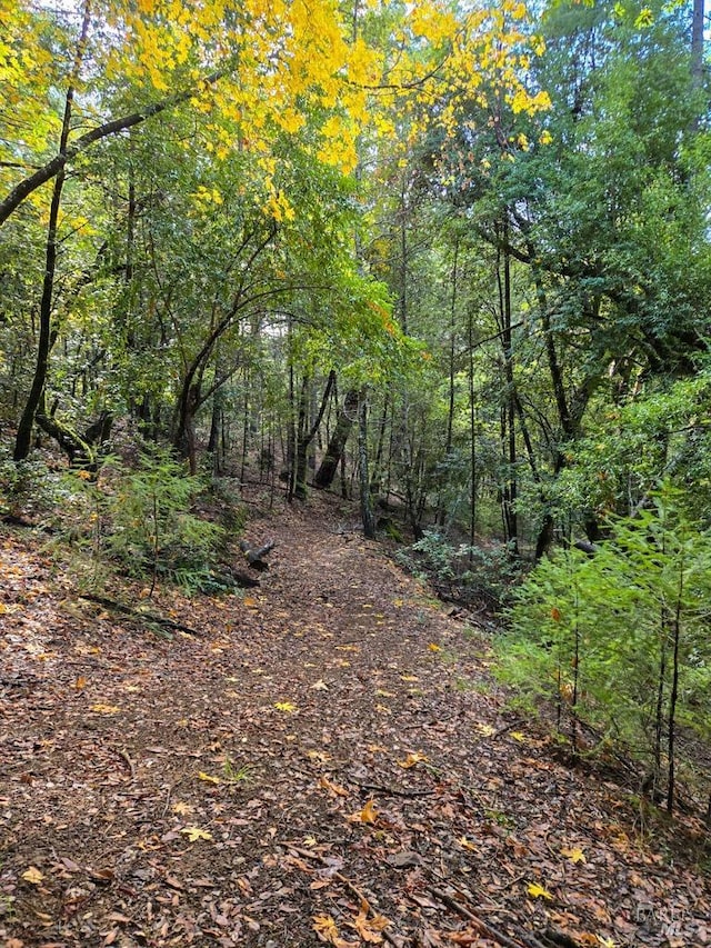 view of landscape with a view of trees