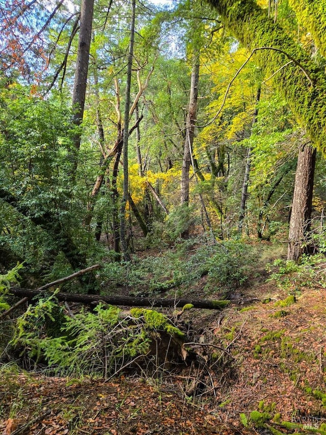 view of landscape featuring a wooded view