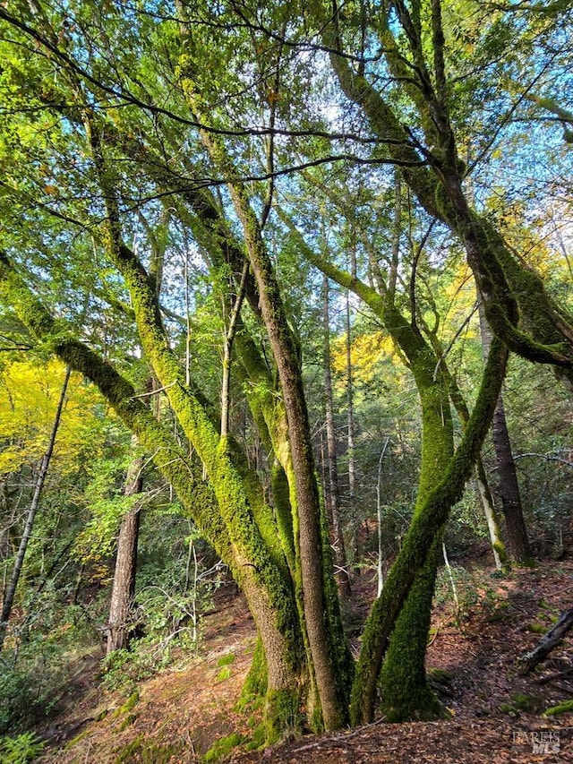 view of landscape featuring a wooded view