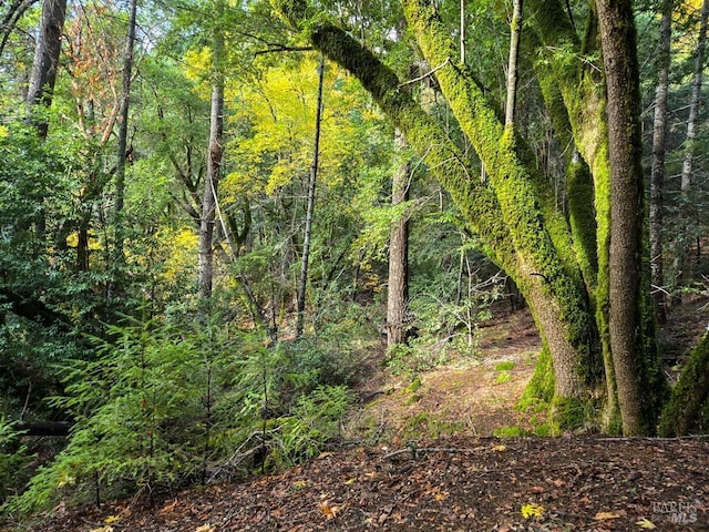 view of nature featuring a wooded view