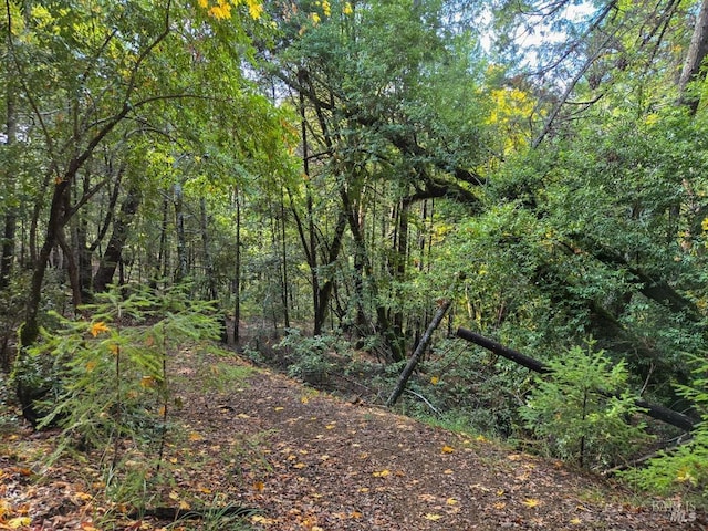 view of local wilderness with a view of trees