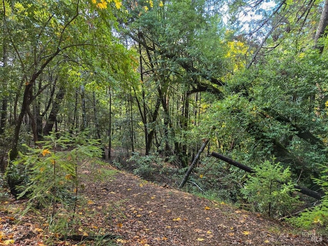 view of local wilderness featuring a forest view