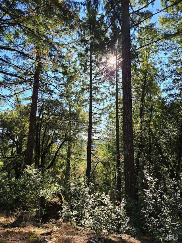 29500 Timberline Rd, Willits, CA 95490 - view of undeveloped land