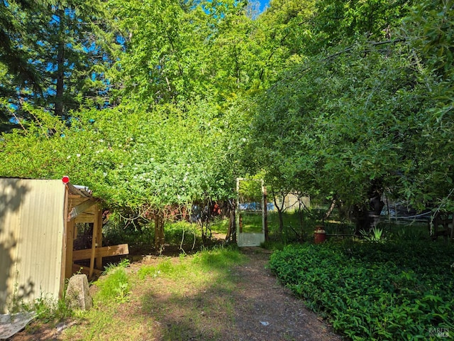 29500 Timberline Rd, Willits, CA 95490 - view of yard