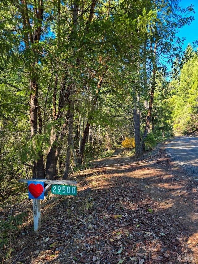 view of street featuring a wooded view