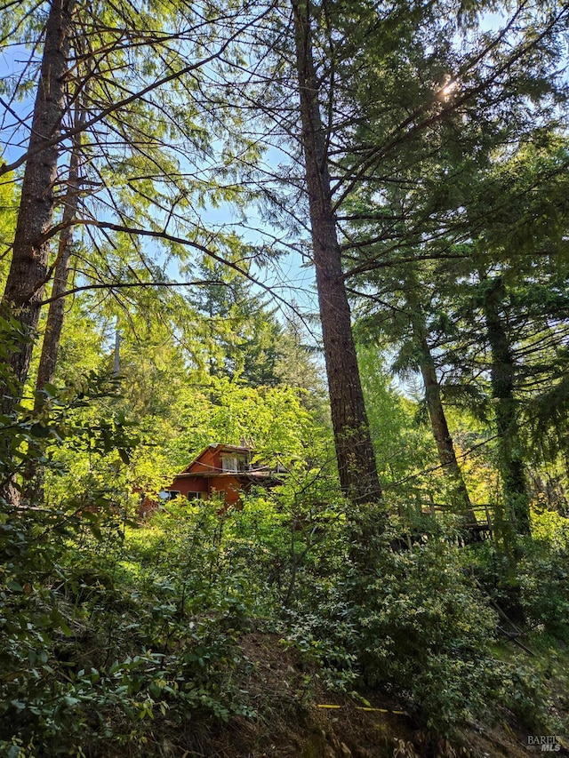 29500 Timberline Rd, Willits, CA 95490 - view of woods