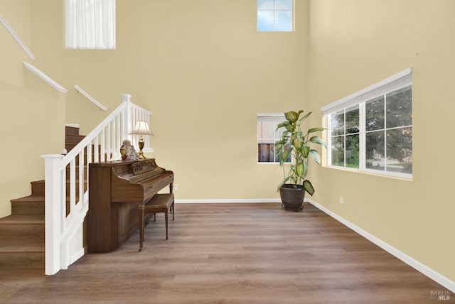 miscellaneous room featuring hardwood / wood-style floors and a high ceiling