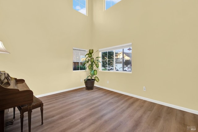 sitting room with wood-type flooring and a towering ceiling