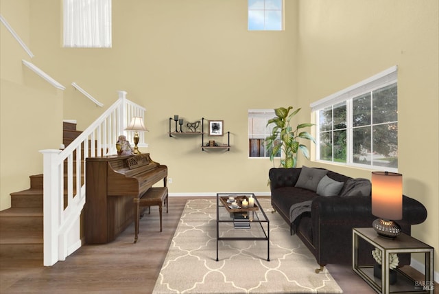 living room featuring a towering ceiling and hardwood / wood-style flooring