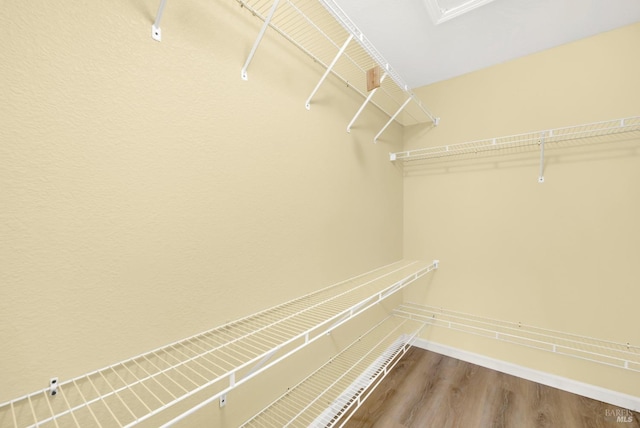 walk in closet with wood-type flooring