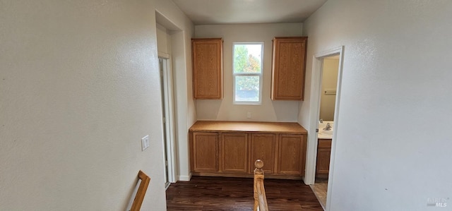 kitchen featuring dark hardwood / wood-style floors