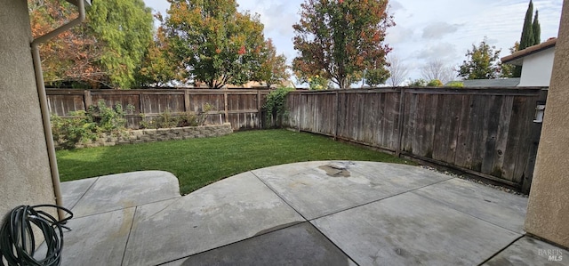 view of yard featuring a patio