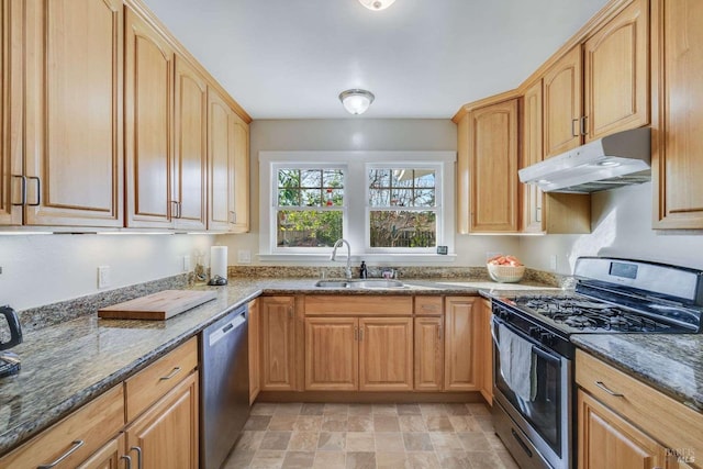 kitchen with sink, appliances with stainless steel finishes, and dark stone counters