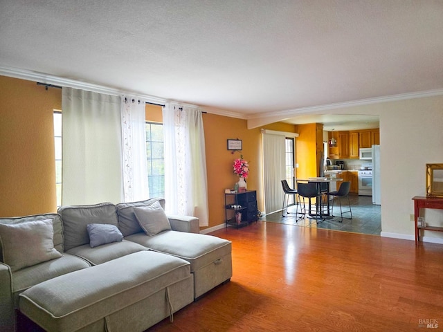 living room with a textured ceiling, hardwood / wood-style flooring, and ornamental molding