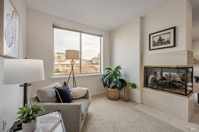 living area with light carpet and a multi sided fireplace