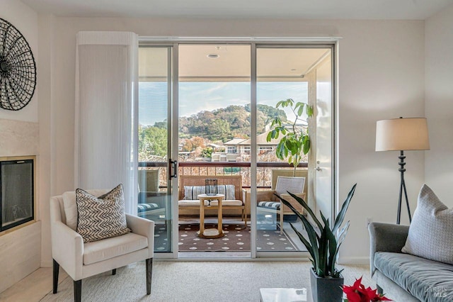 sitting room with carpet