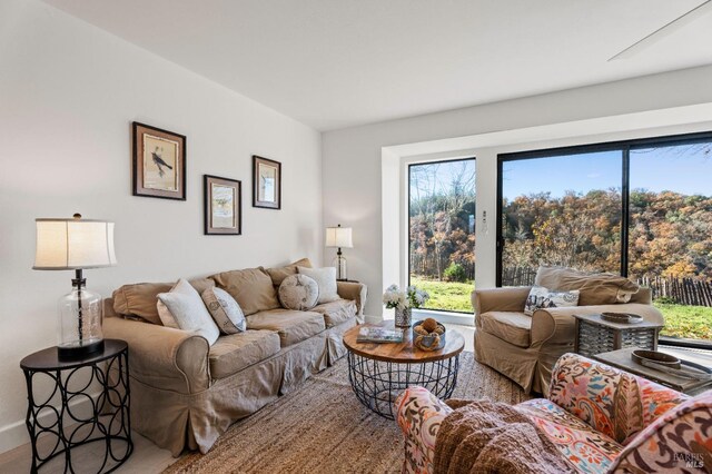 living room with a wealth of natural light