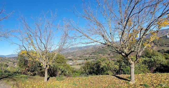 view of mountain feature