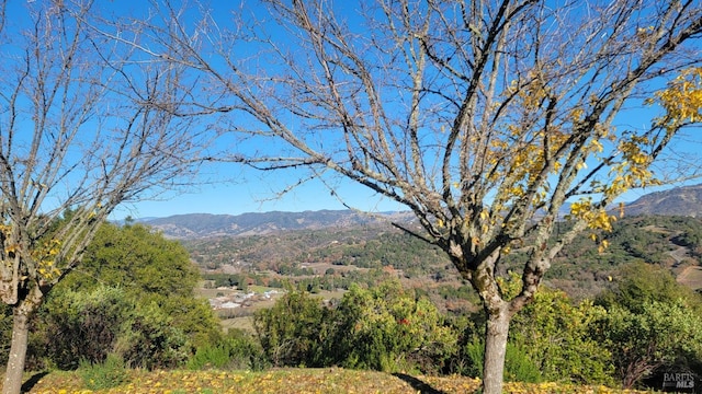 view of mountain feature