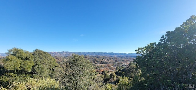 property view of mountains