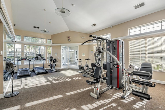 gym featuring vaulted ceiling