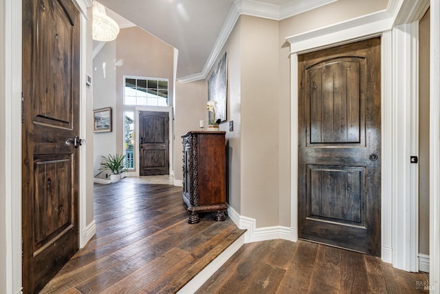 foyer featuring crown molding and dark wood-type flooring