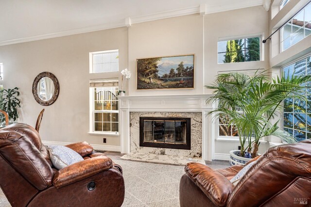 carpeted living room with a fireplace and crown molding