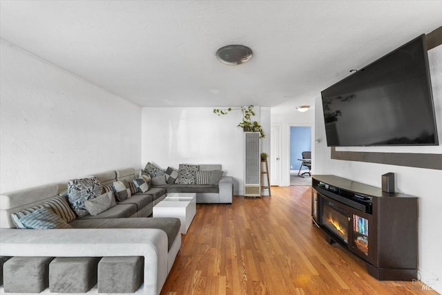 living room with hardwood / wood-style flooring