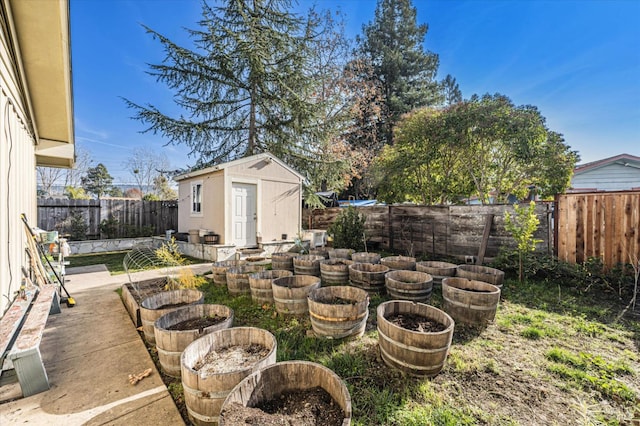 view of yard with a storage shed