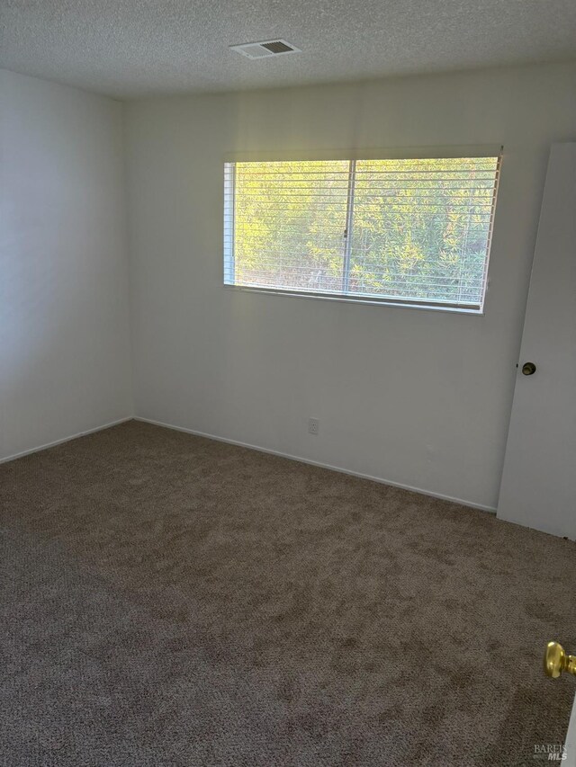 unfurnished room featuring carpet floors and a textured ceiling