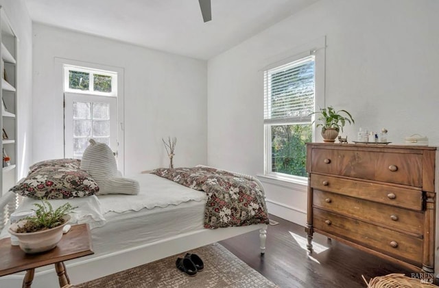 bedroom with ceiling fan, dark wood-type flooring, and multiple windows