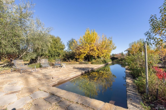 view of swimming pool with a patio and a water view