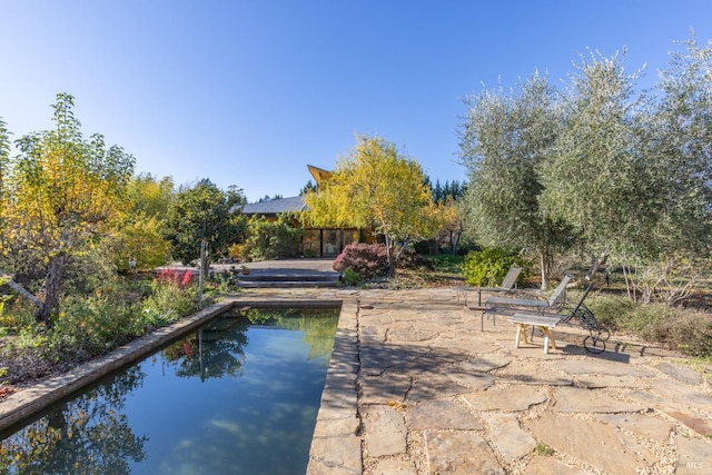 view of pool with a water view and a patio