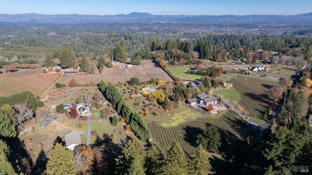 drone / aerial view with a mountain view and a rural view