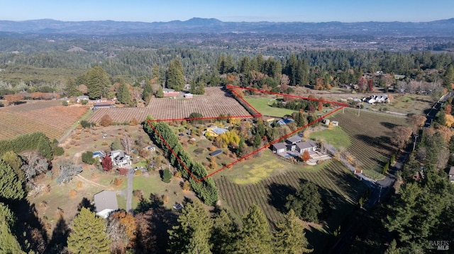 aerial view with a mountain view and a rural view