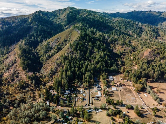 aerial view featuring a mountain view