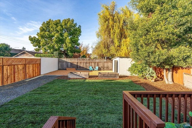 view of yard with a storage shed