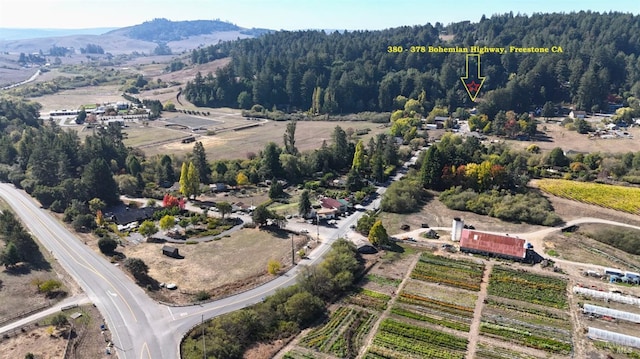 aerial view with a mountain view