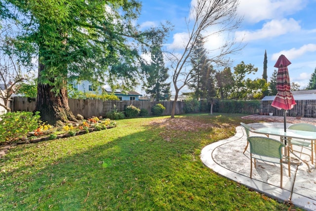 view of yard featuring a patio area