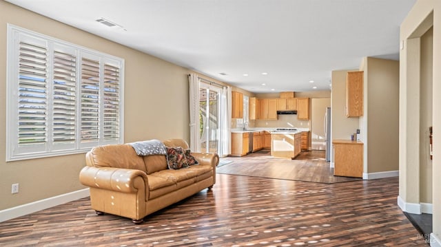 living room with sink and dark hardwood / wood-style floors