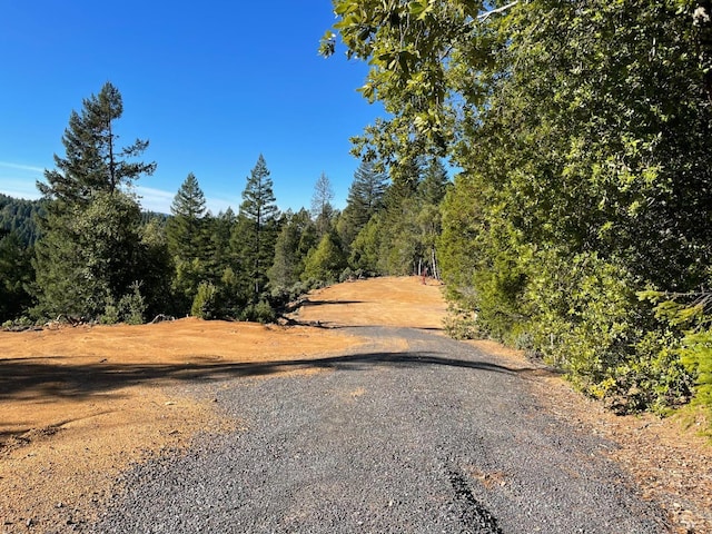 view of road