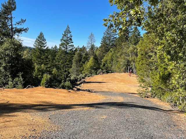 view of road