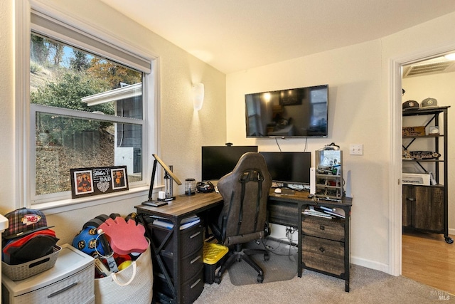 office featuring wood-type flooring