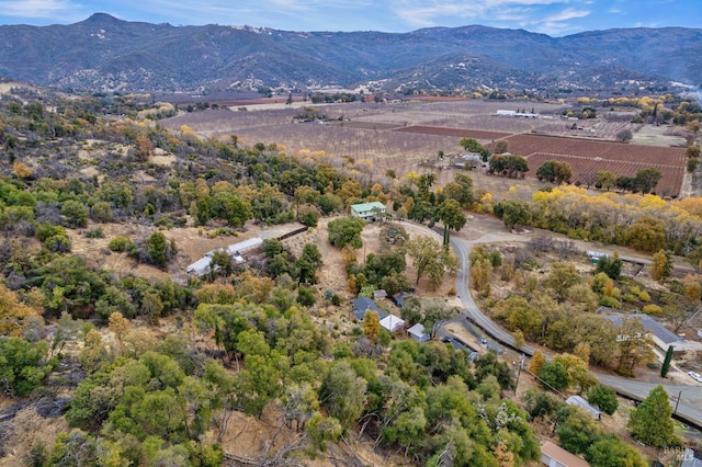 birds eye view of property featuring a mountain view