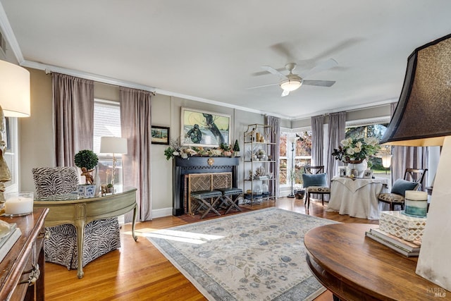 living room featuring ceiling fan, ornamental molding, and wood finished floors