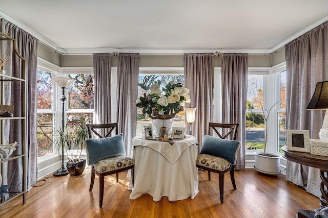 living area featuring plenty of natural light and wood finished floors